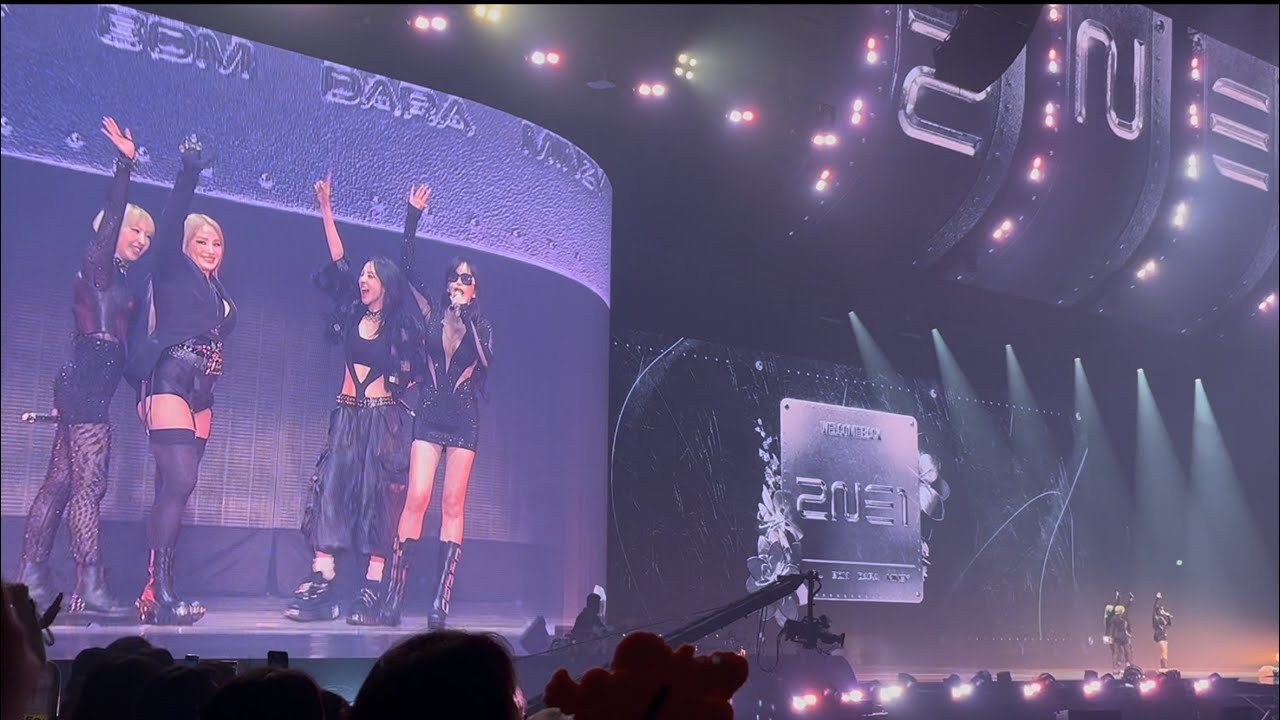 250412 2NE1 CONCERT [WELLCOME BACK]