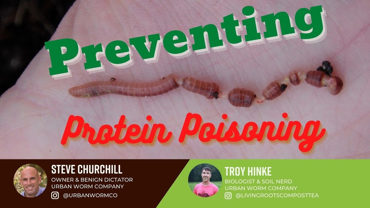 Preventing Protein Poisoning: Urban Worm Livestream Jul 20, 2022