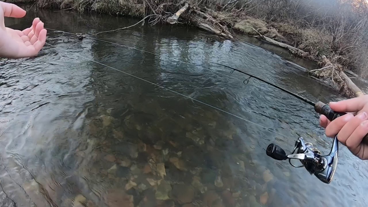 TROUT FISHING THE CREEK DAY AFTER STOCKING!! Had the hole spot to myself!