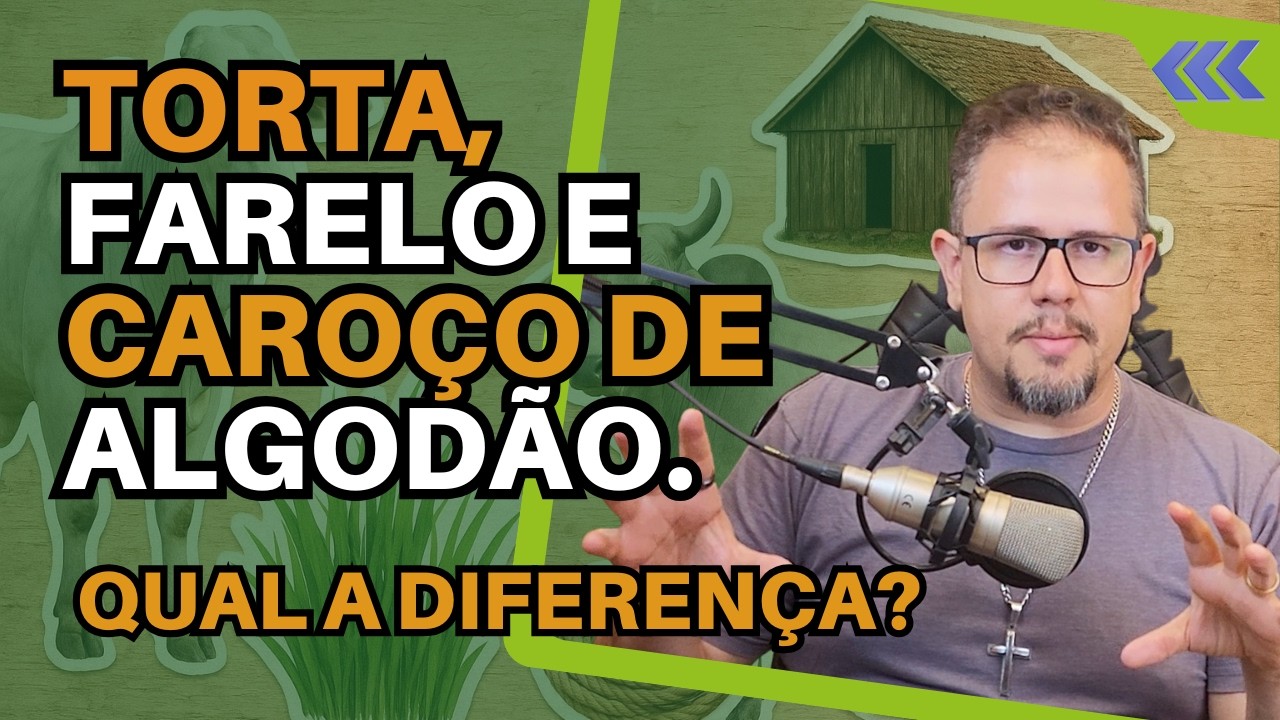 DIFERENÇA entre CAROÇO, FARELO E TORTA de algodão no processamento industrial