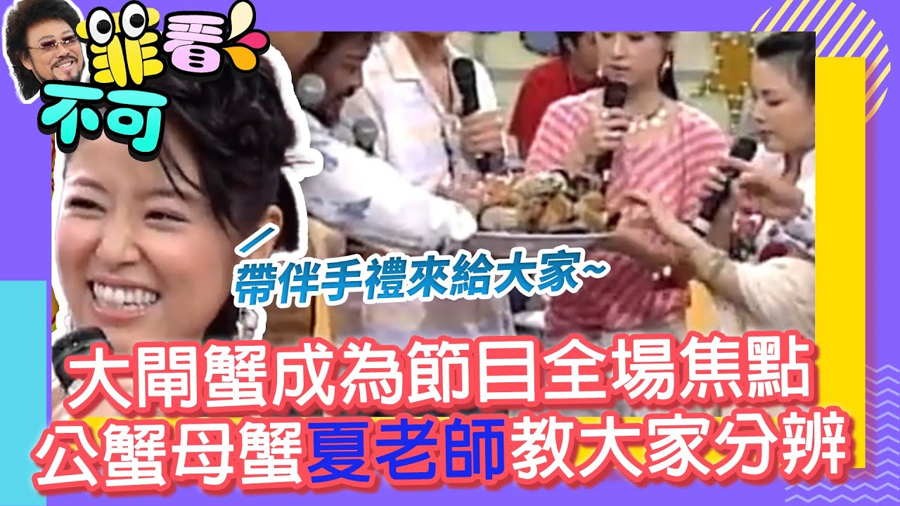 大閘蟹成為節目全場焦點　公蟹母蟹夏老師教大家分辨【菲看不可】EP525