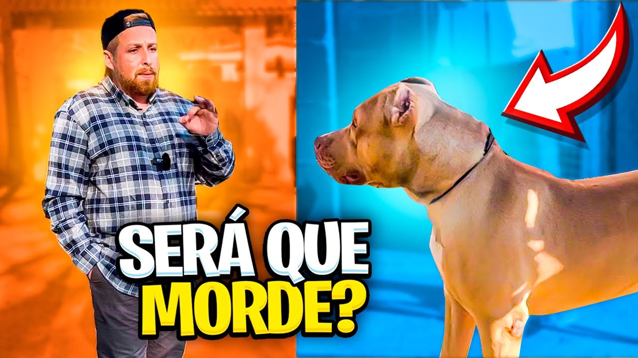 PITMONSTER NÃO É CÃO DE GUARDA