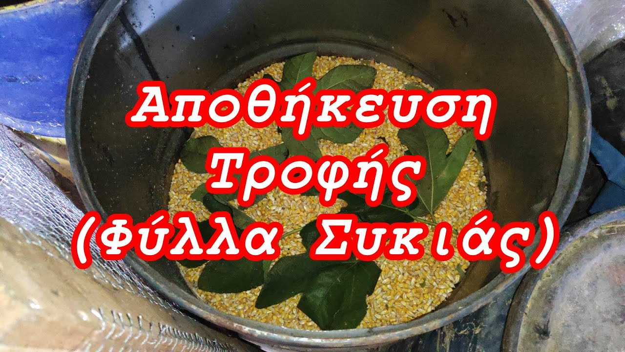 Αποθήκευση Τροφής 