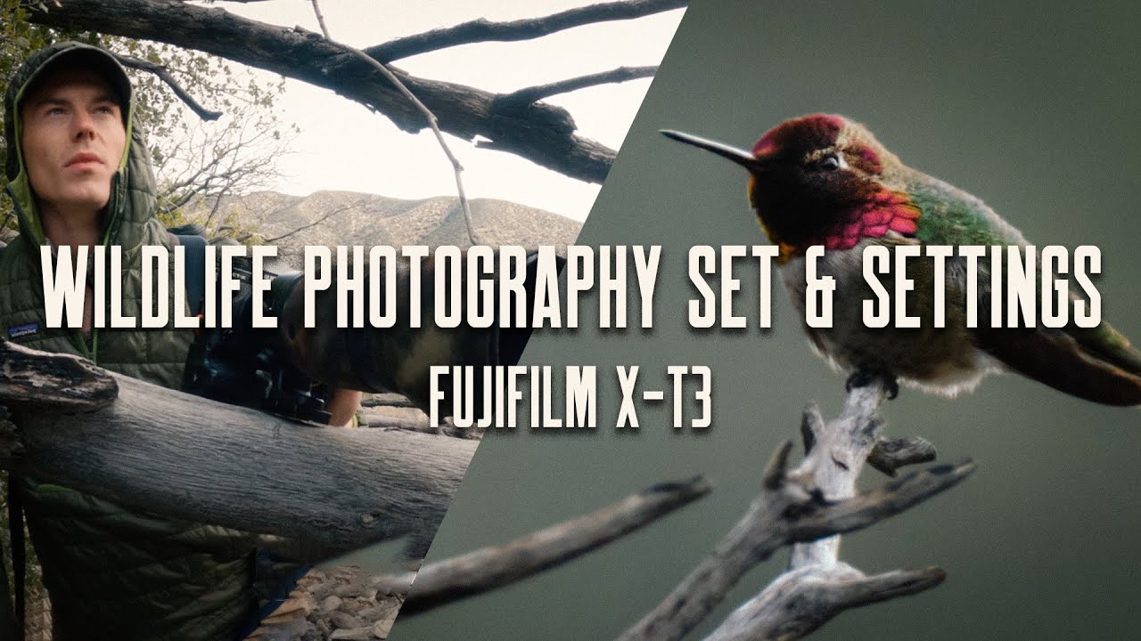 Capture the Beauty of Nature: Wildlife Photography with Fujifilm X-T3