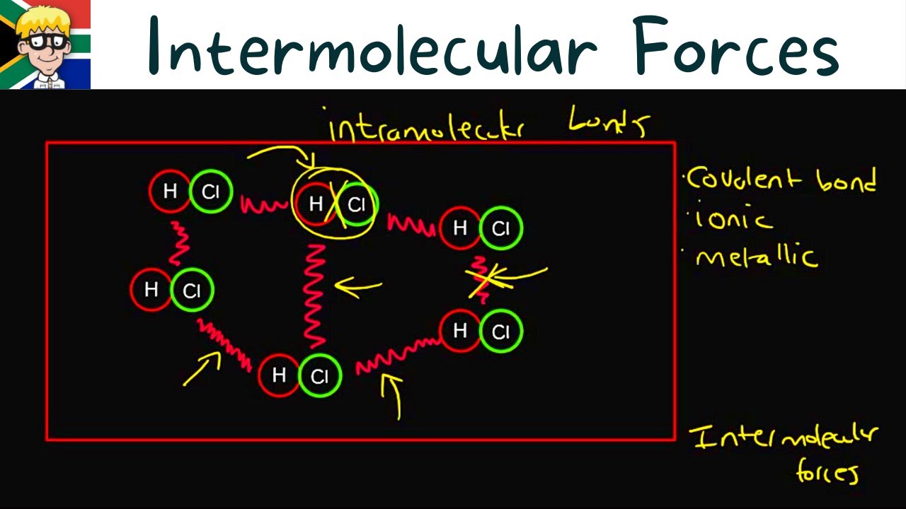 Intermolecular Forces grade 11: Introduction # 2