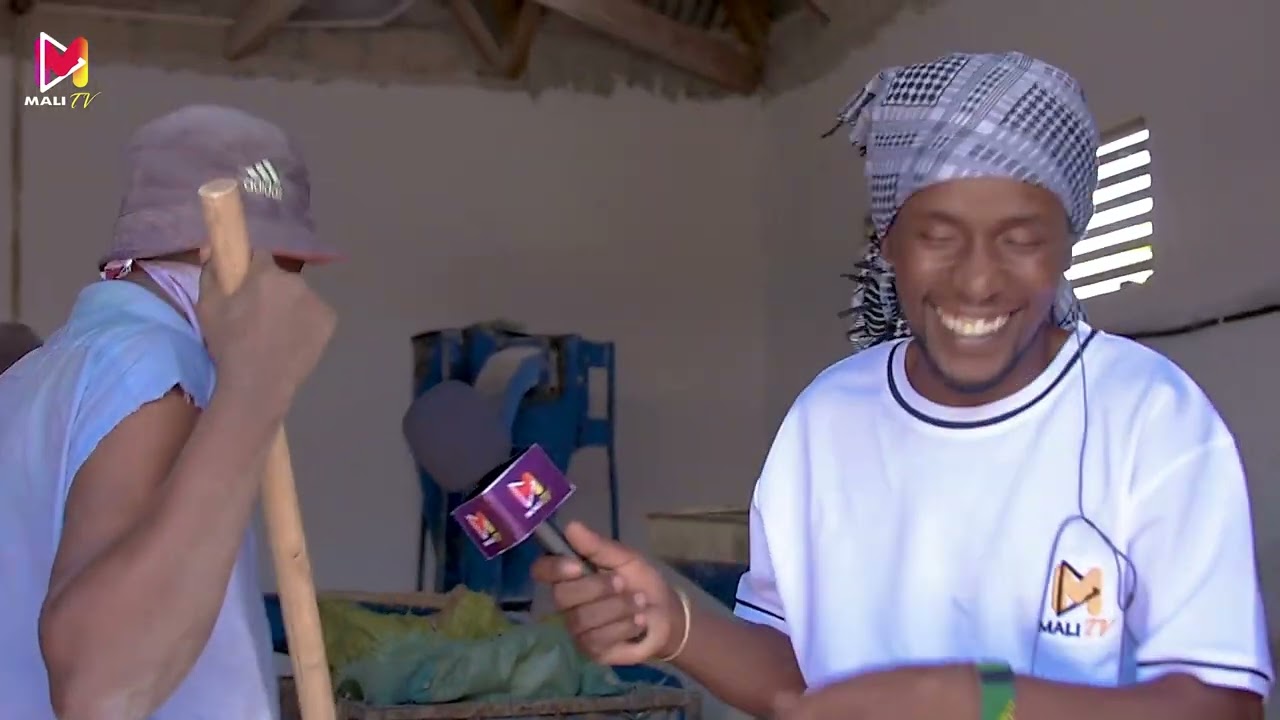 JINSI ICHI KIWANDA KINAVYOTENGENEZA UNGA WA SEMBE WAFANYAKAZI WAELEZA NJIA NZIMA MBAKA UNGA