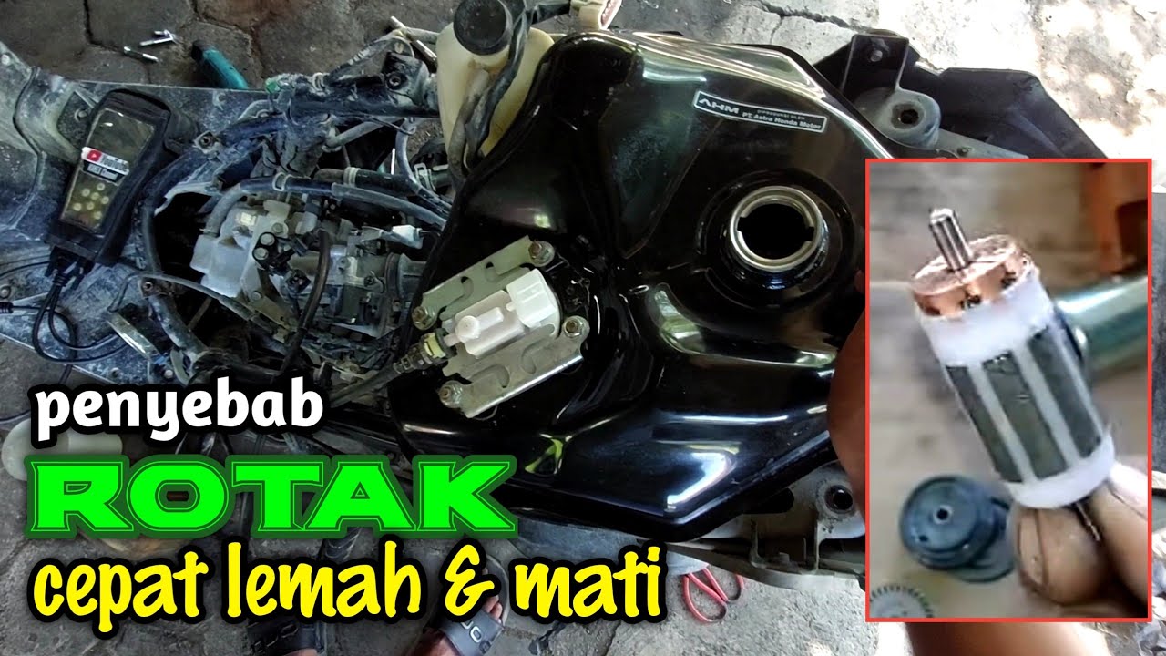 PENYEBAB ROTAK CEPAT MATI #kakexchannel