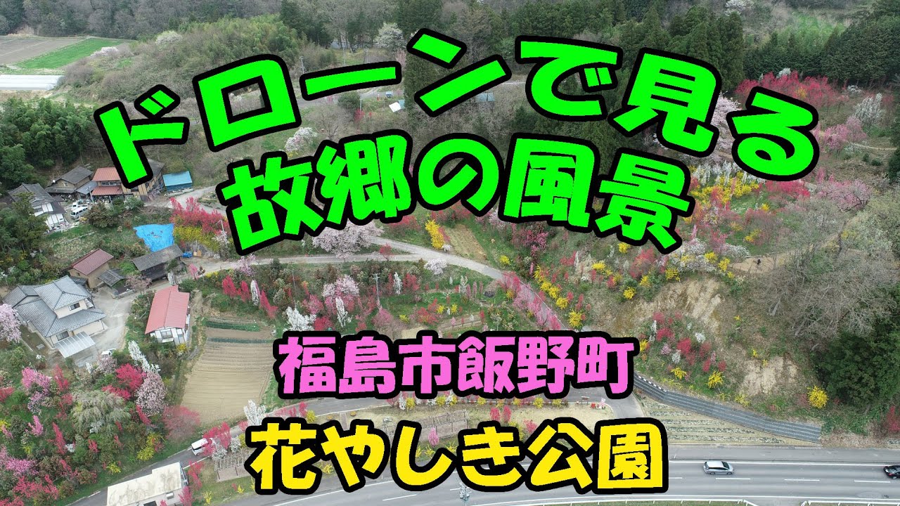 ドローンで見る故郷の風景　飯野町「花やしき公園」