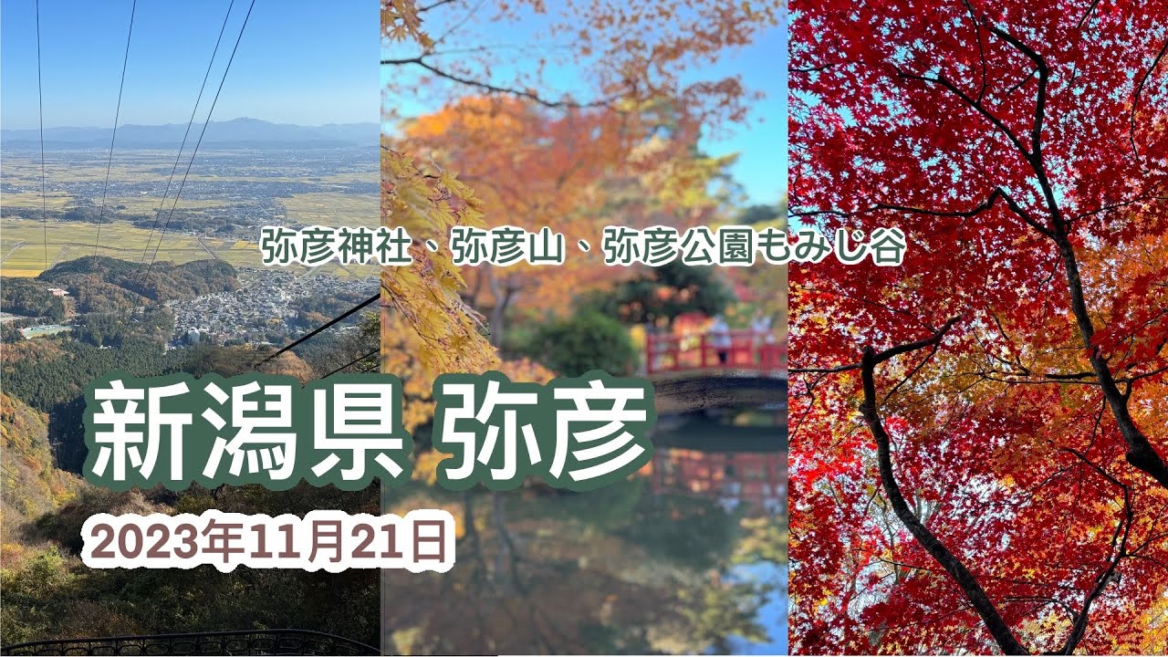 TRIP #1 | 🇯🇵 (上篇) 🚞 弥彦篇⛰️☀️