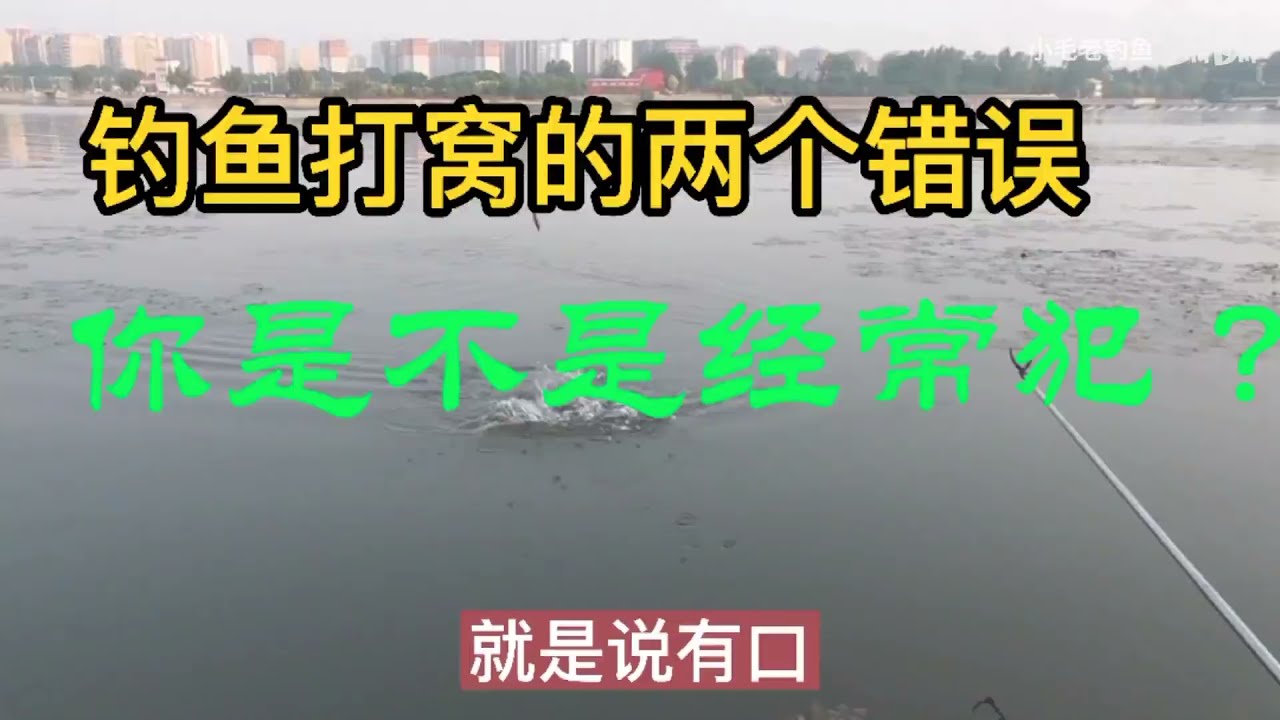 钓鱼打窝呀 有两个多余的 这个动作不要犯 ！