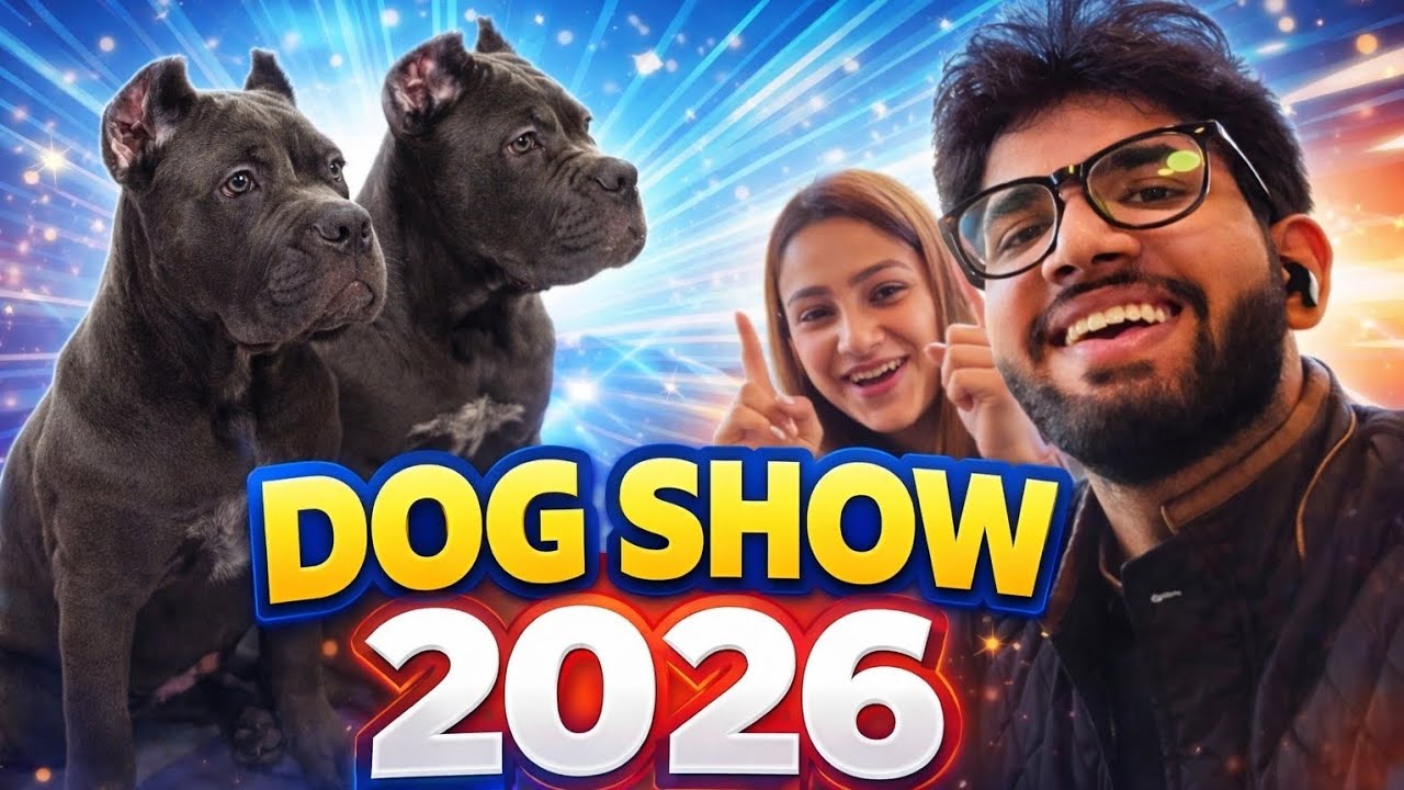 Trophy Hmari Hue ❤️❤️ ( DOG SHOW 2026)