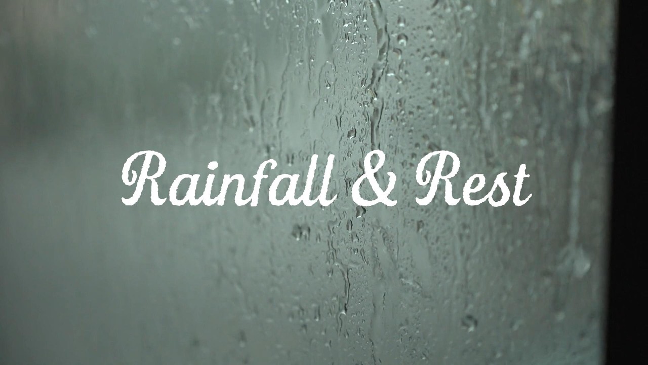 Rainfall & Rest | Natural Rain Ambience | Perfect For A Daytime Nap