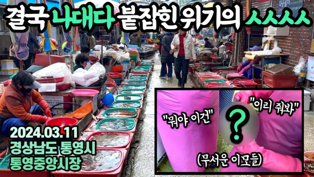 “뭐야 이건,이리 줘봐“위기!무서운 이모들에게 붙잡힌 생선선생😰무사히 빠져나갈 수 있을까?무시무시한 소문의 통영활어시장 리뷰