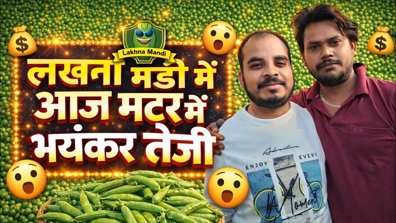 😊लखना मंडी में आज मटर में तेजी 👍#Bharat ke Bazar