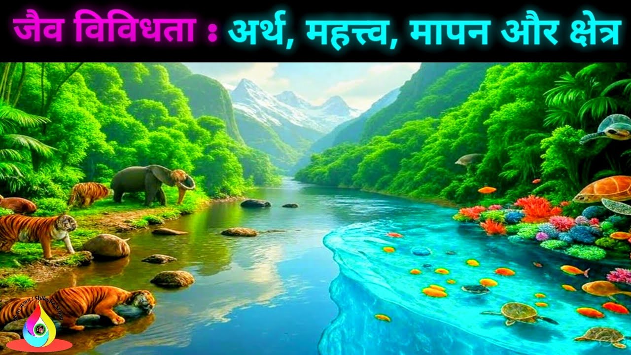 जैव विविधता का अर्थ, मापन और प्रमुख क्षेत्र | Biodiversity in Hindi | Importance of Biodiversity
