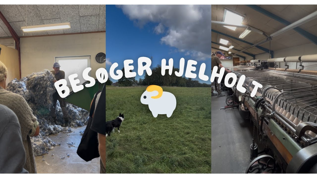 Jeg besøger Hjelholt Uldspinderi – og ser deres hemmelige nye garn! | En dag i uldens tegn🐑