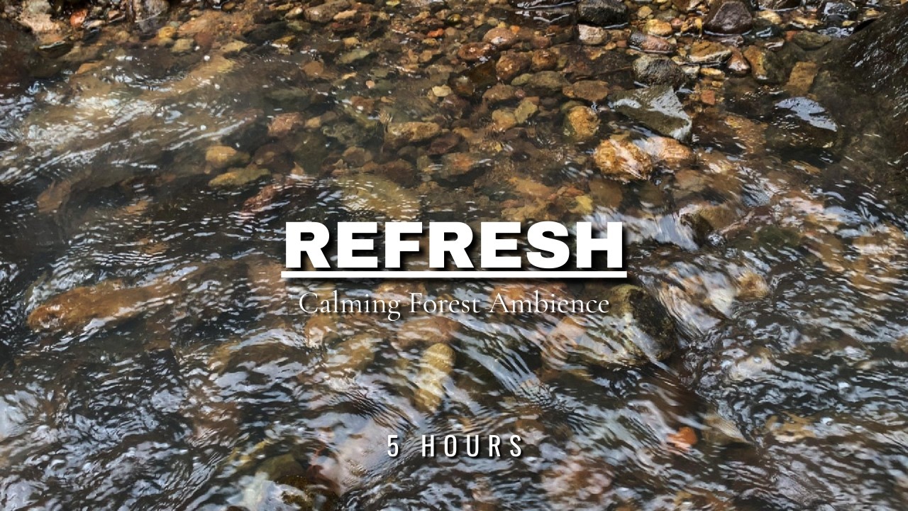 Calming Forest Ambience - River Flowing Birds Chirping in Hidden Forest Ambience for Rest, Medicine