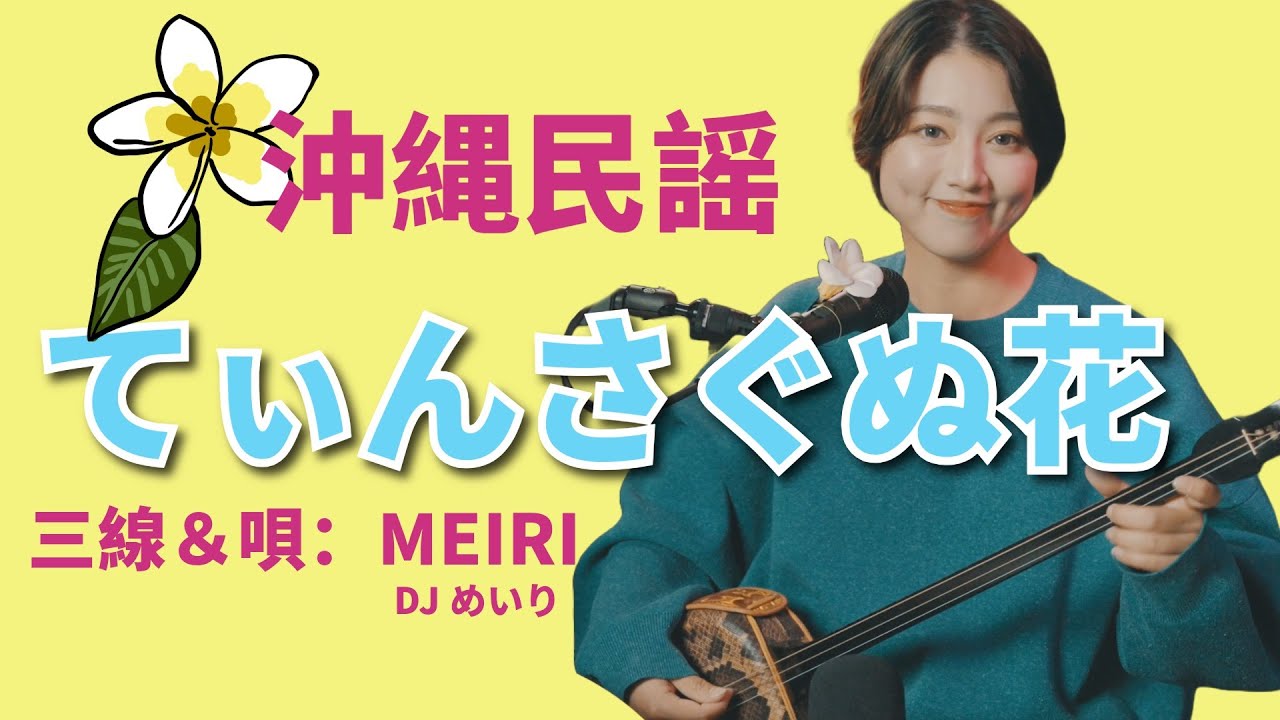 「てぃんさぐぬ花」三線・唄：MEIRI🌺｜#琉球民謡 #沖縄