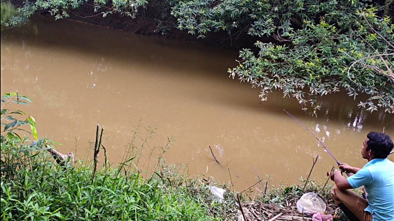 Sering di abaikan pemancing !!!  Padahal sarang ikan