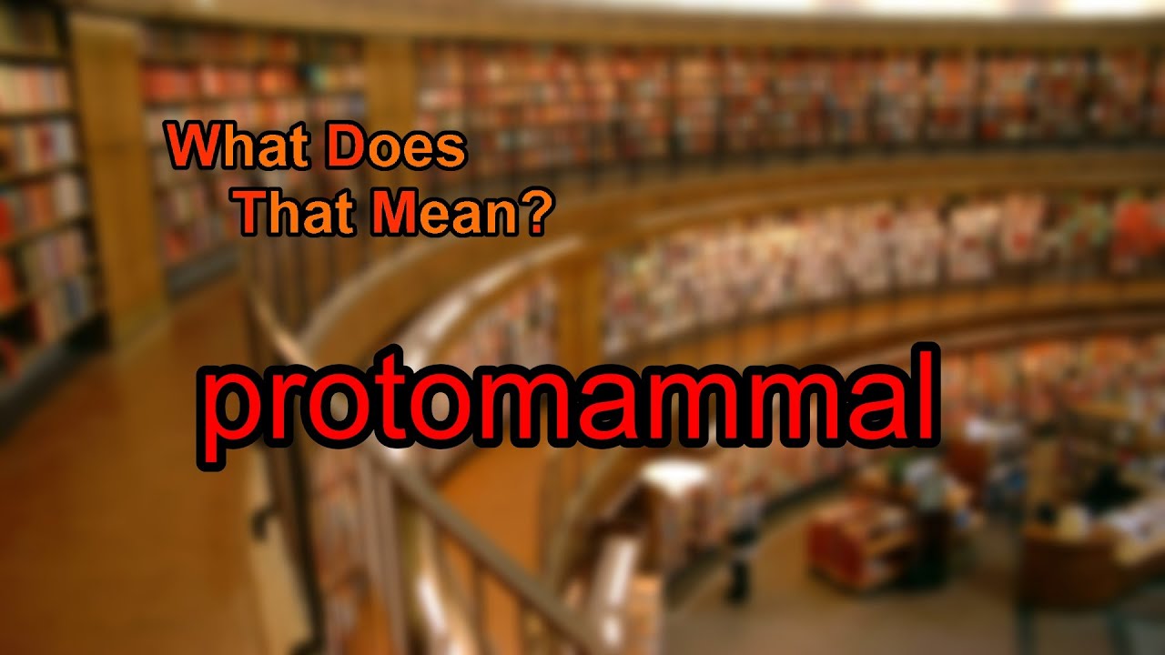 What does protomammal mean?
