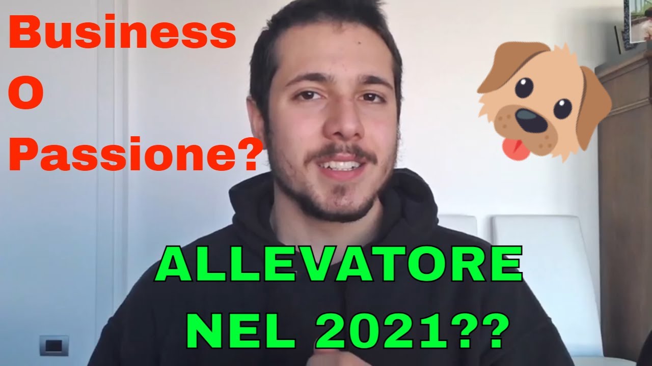 ALLEVATORE Cinofilo come PROFESSIONE nel 2021? - BUSINESS O PASSIONE ?