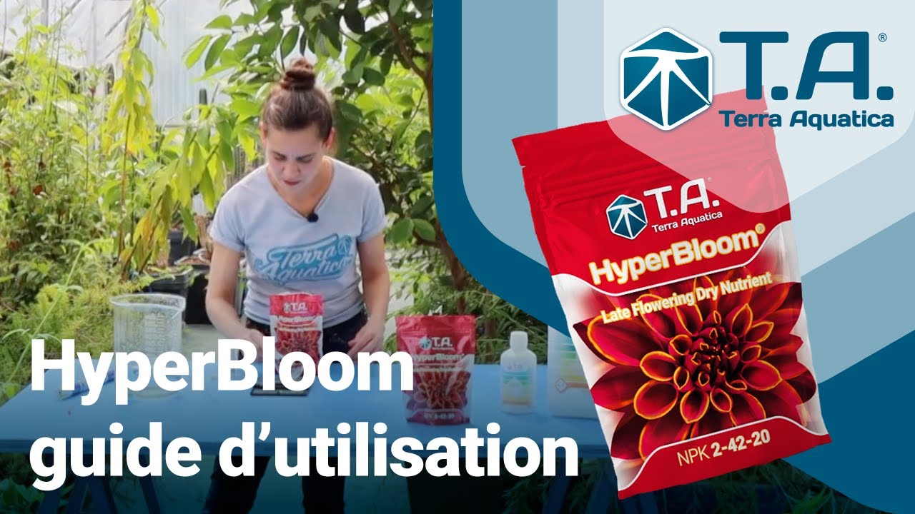 🌺 Hyperbloom l'engrais en poudre pour la floraison 👩&zwj;🌾