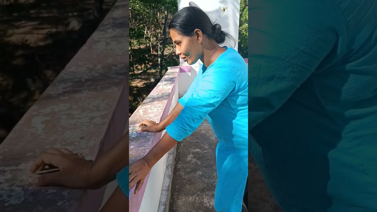 കുരുമുളക് പറിക്കൽ @#sheena shalus❤️❤️😍😍