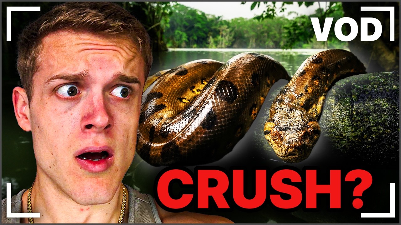 Reacts & Horsey Game | Joe Bartolozzi