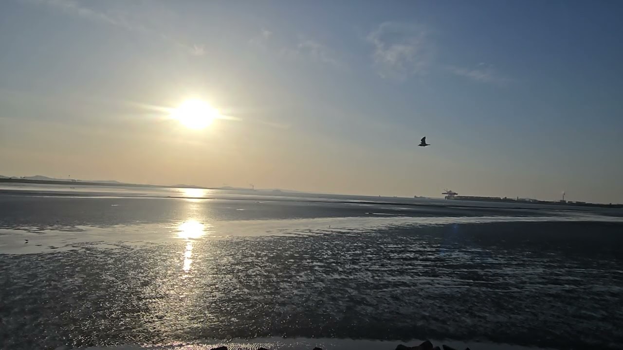 오이도