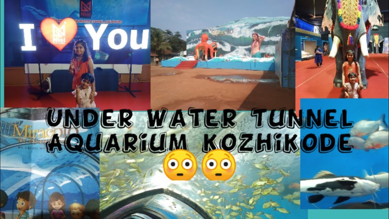 Miracolo under water tunnel Aquarium kozhikode//near kozhikode beach#kozhikodebeach
