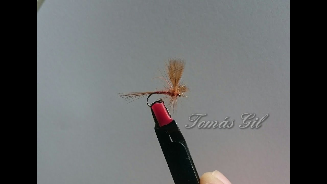 Mosca seca Cascuda Pra mi amigo Ismael Mayo