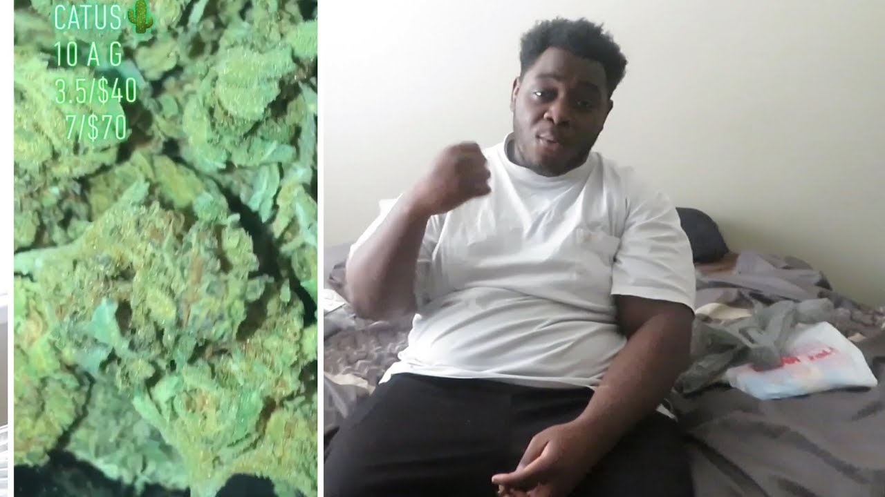 Cactus | Strain Review