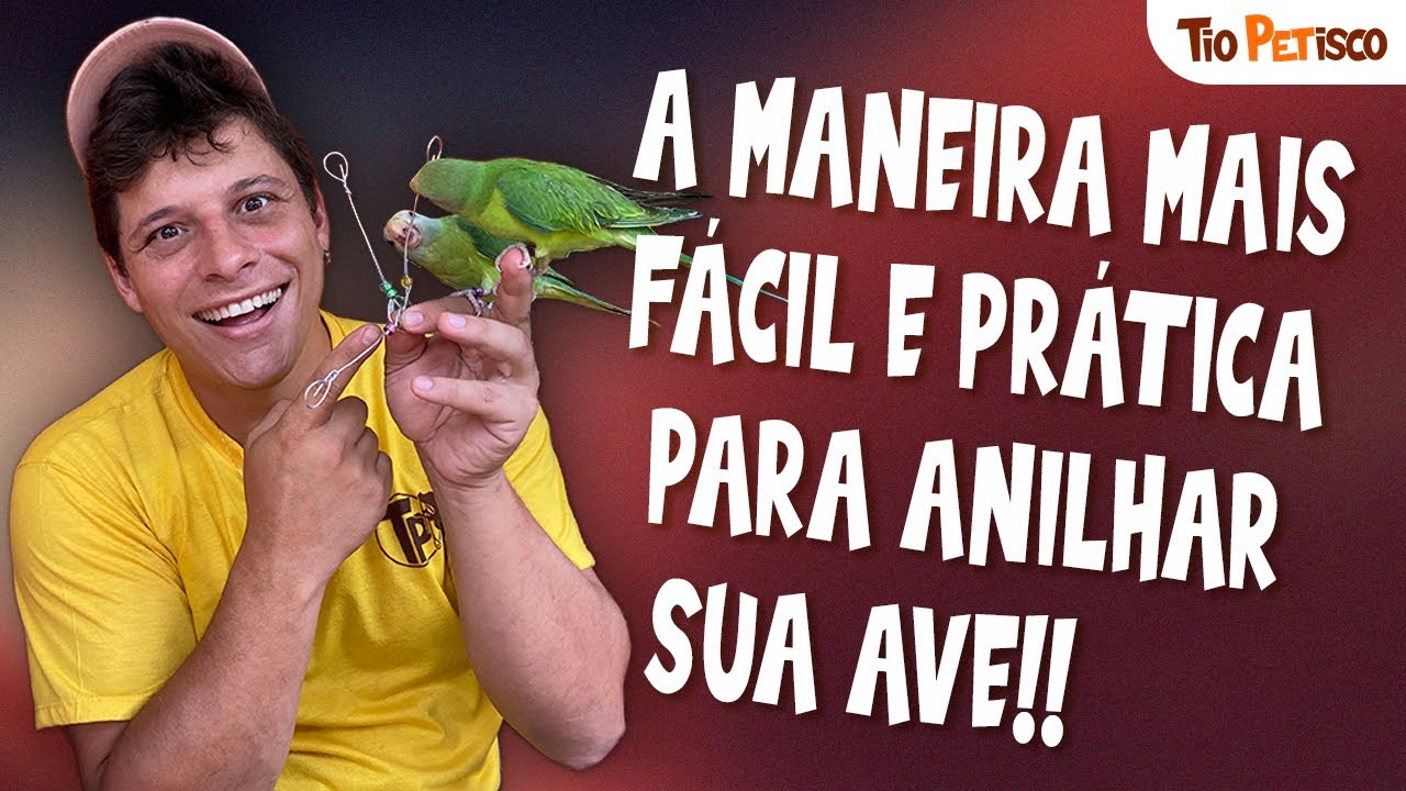 SAIBA COMO ANILHAR PÁSSARO - Papagaio, Calopsita, Arara, Ring Neck, Cabeça de Ameixa, canário