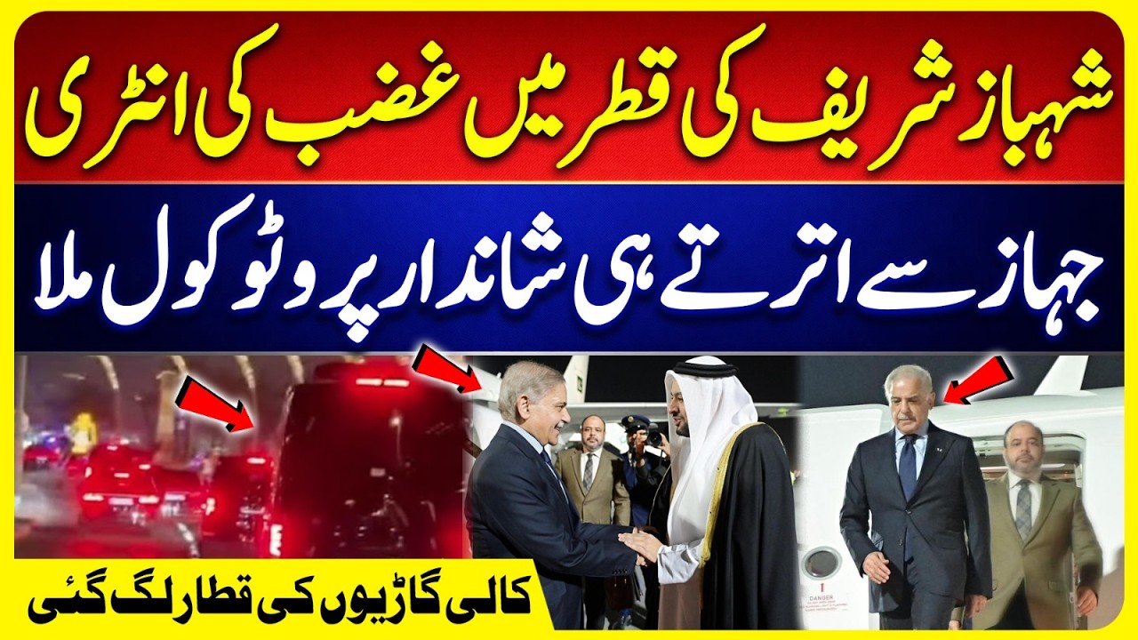 Shahbaz Sharif Receives VIP Protocol on Arrival in Qatar | PM Shahbaz in Doha | Pak- Qatar Relation