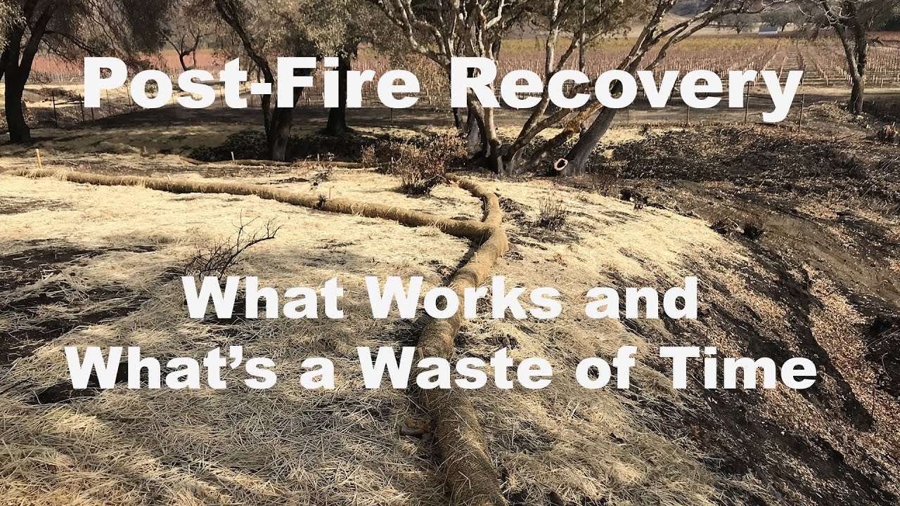 Post Fire Restoration :  What works and what’s a waste of time