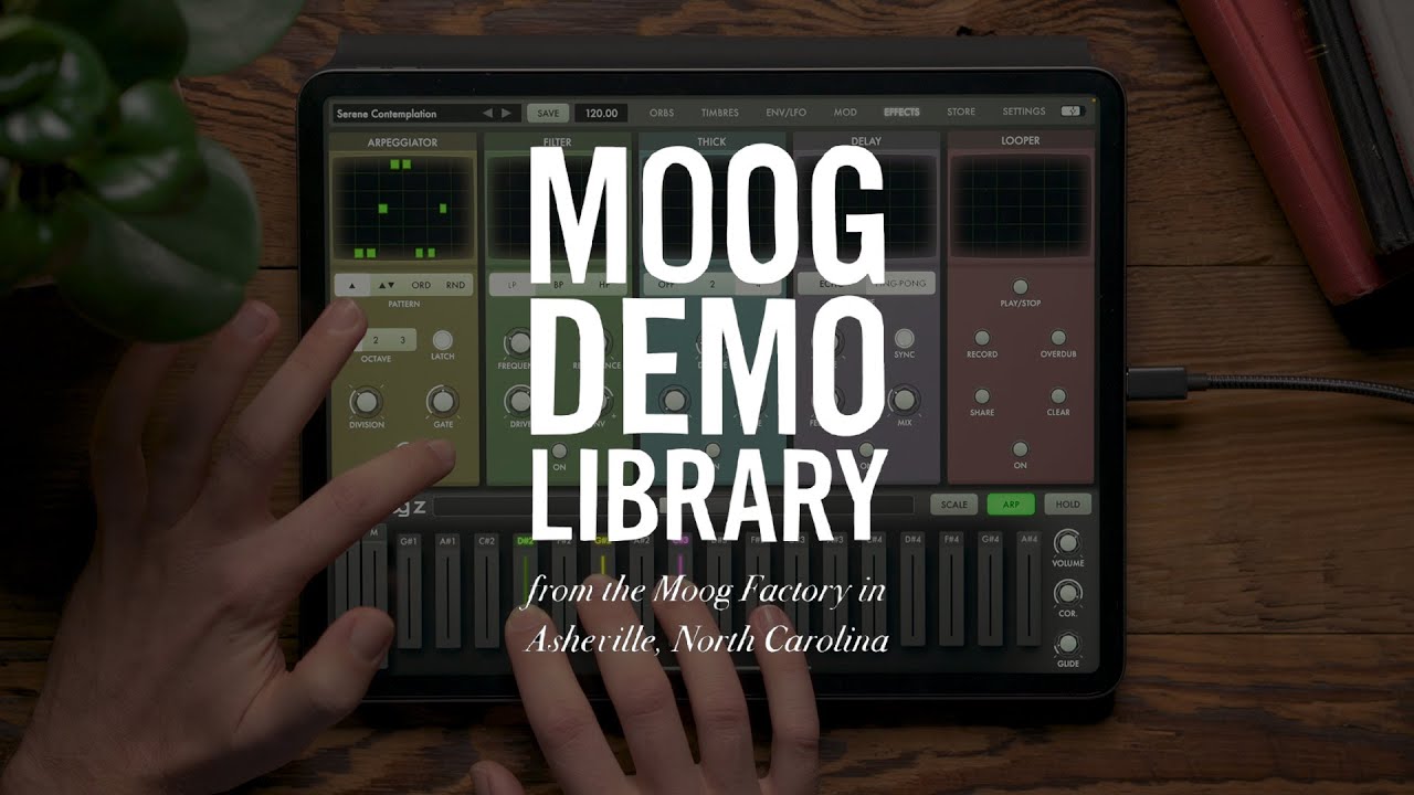 Animoog Z | Effects Explained