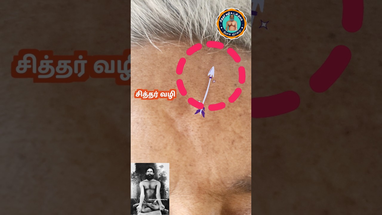 இதுவே #இராம_பாணம் | Rama's Bow