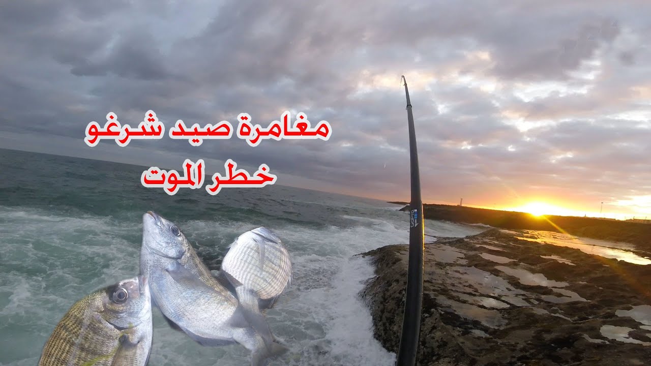 مغامرة صيد شرغو (خطر الموت )