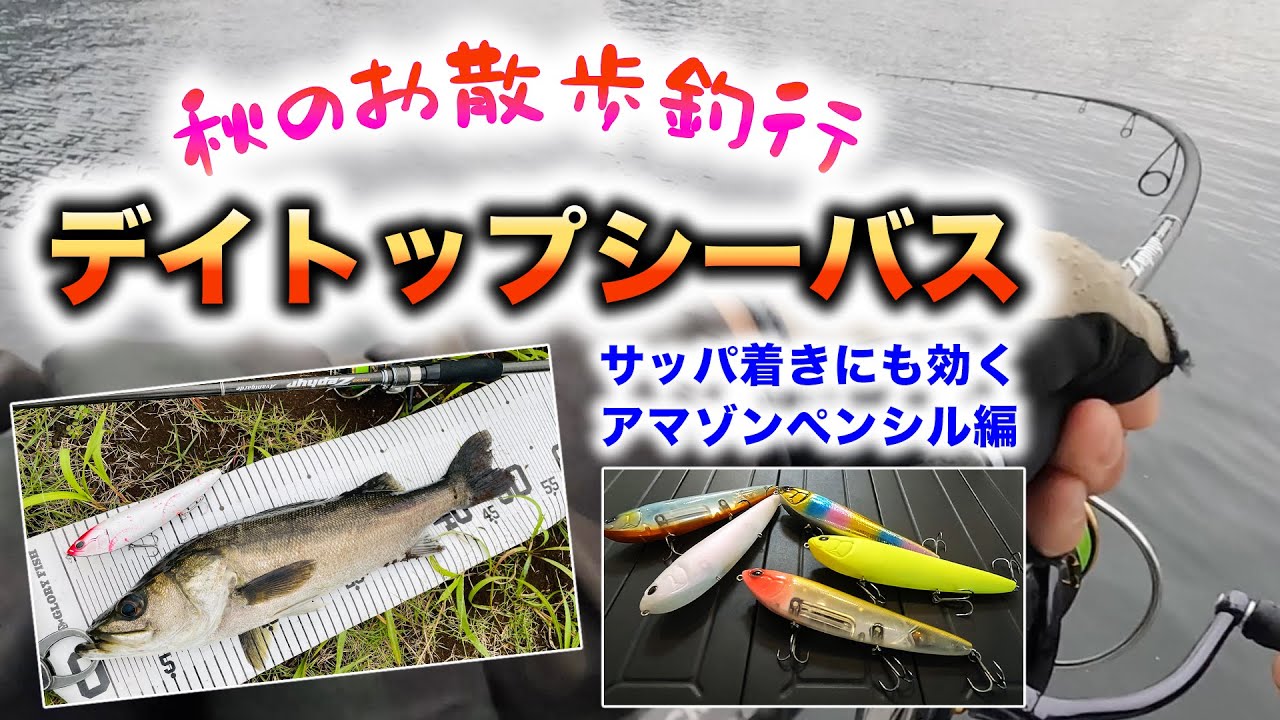 秋のお散歩釣行！デイトップシーバス！ - サッパ着きにも効くアマゾンペンシル編 - 東京湾シーバス