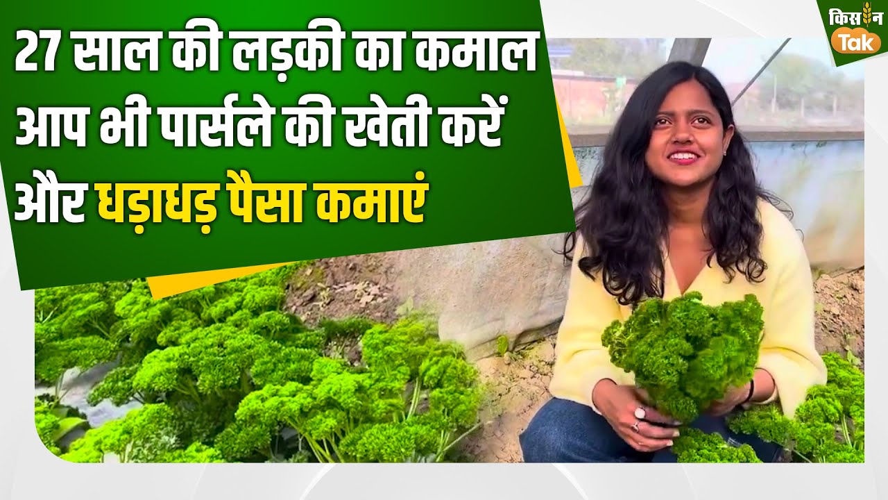 Parsley ki kheti: 27 साल की Anushka Jaiswal कर रही हैं एग्जॉटिक सब्जियों की खेती, कमा रही हैं लाखों