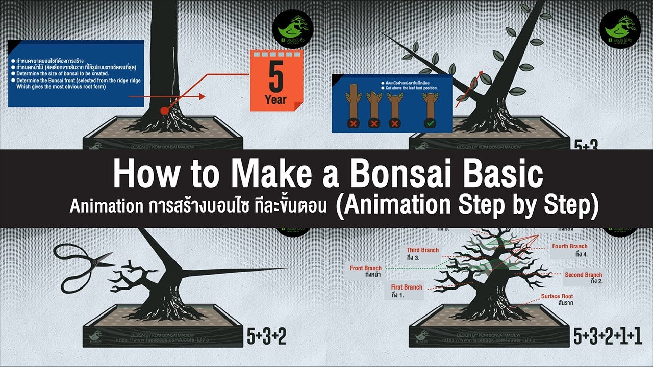 How To Make a Basic Bonsai (Animation Step by Step) [ English Subtitle ]