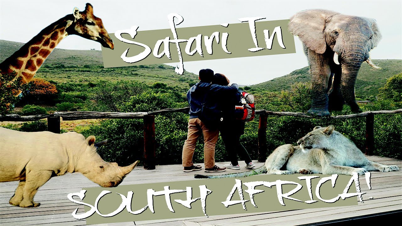 FIRST TIME TO SOUTH AFRICA! Shamwari Game Reserve (Day 1 - 4)