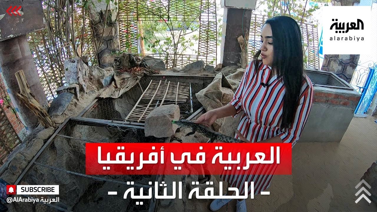 العربية في أفريقيا | النوبيون وترويض التماسيح.. من مصر وحتى السودان
