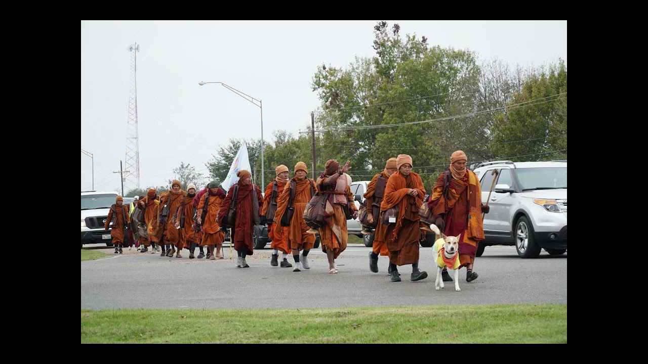 Walk for Peace with Aloka!     #WalkForPeace #PeaceWalk #BuddhistMonks #AlokathePeaceDog #aloka