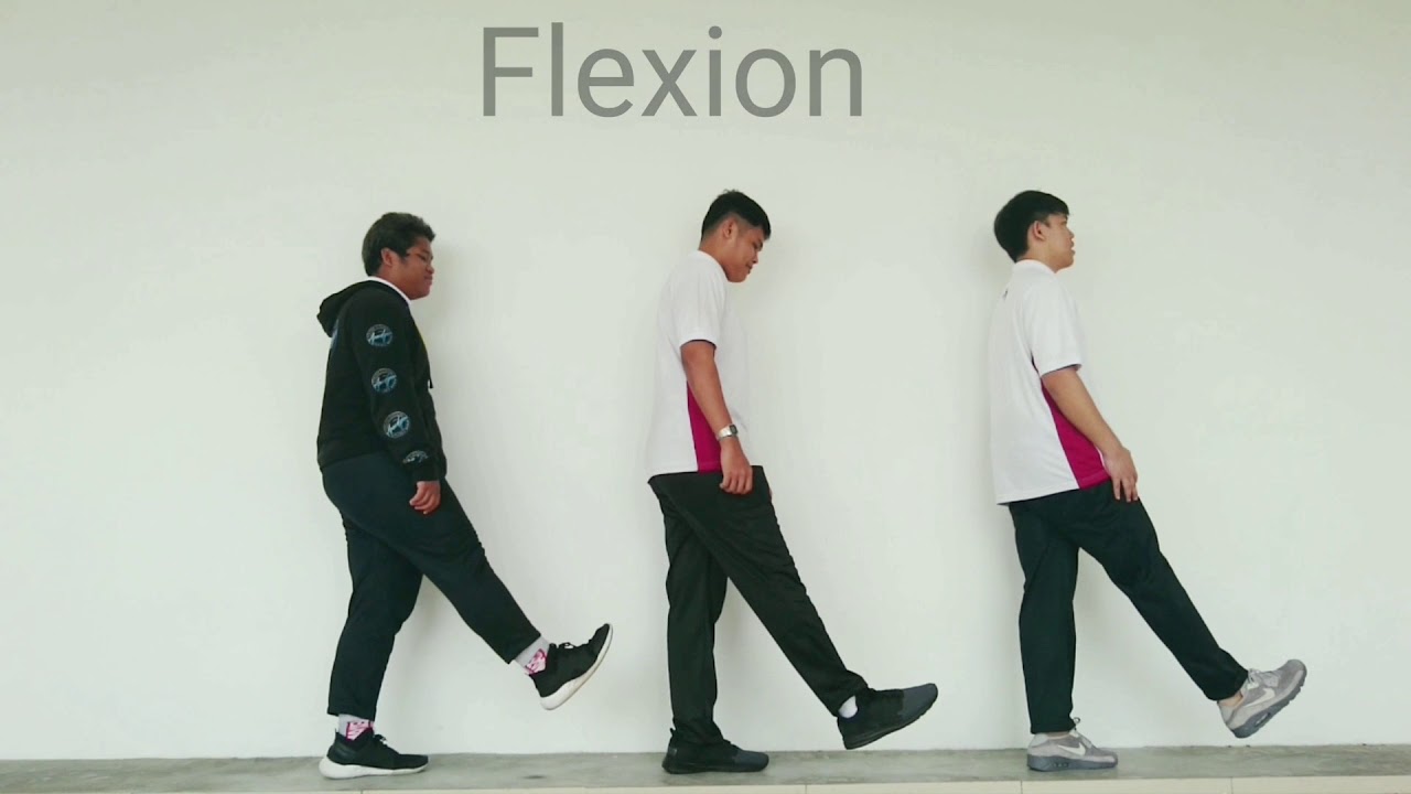 Anatomical Terms of Movements
