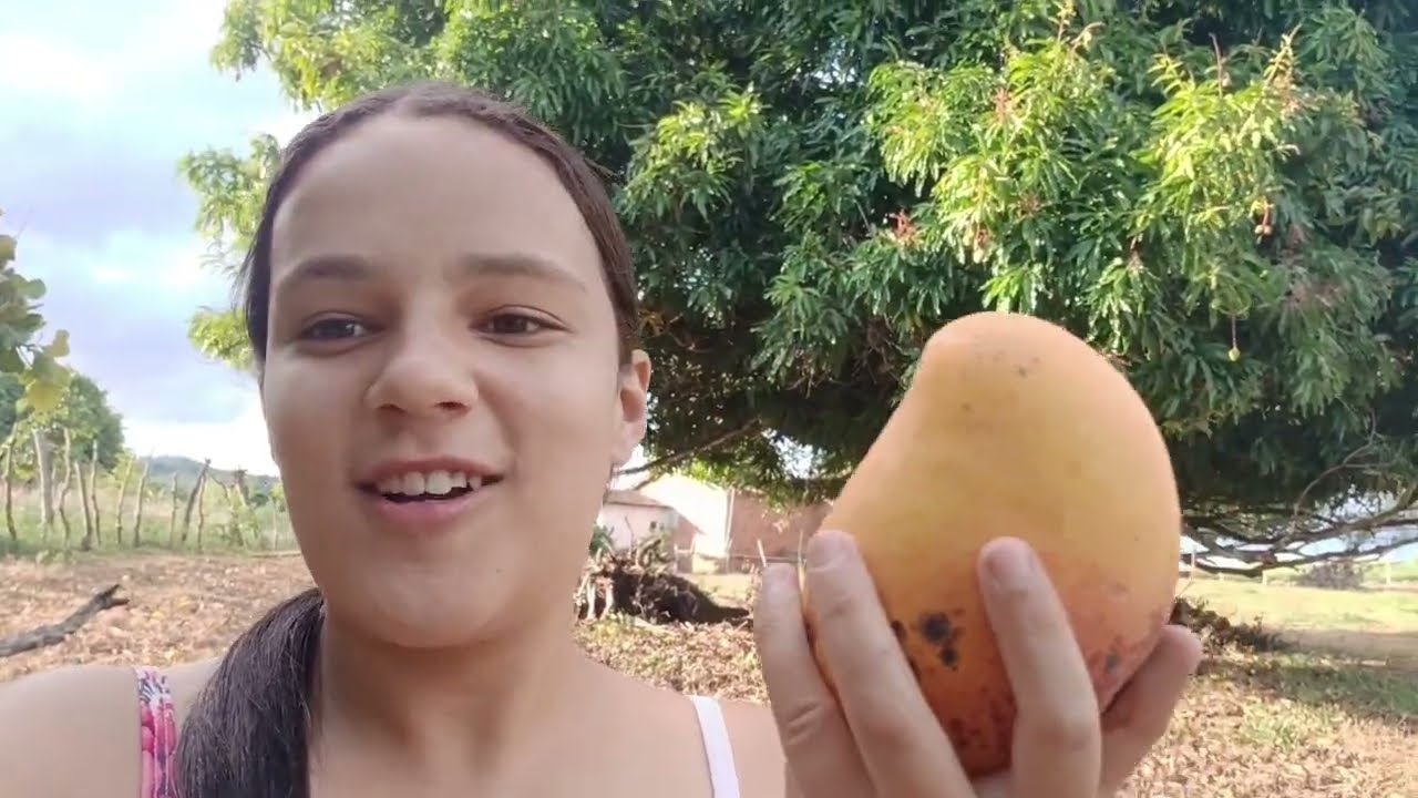 Colheita de manga banana 🍌 + preparando us cabos de inxada pra acunha Deus abençoe todos vocês 🙏🙌