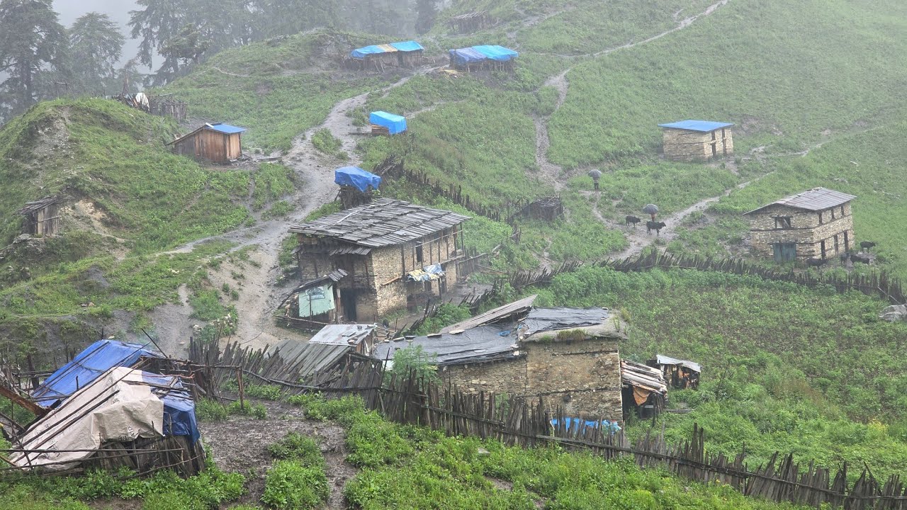 This Is Himalyan Nepali Mountain Village Life Heavy Rainy Day |Naturelly Village Dacumentary Video |