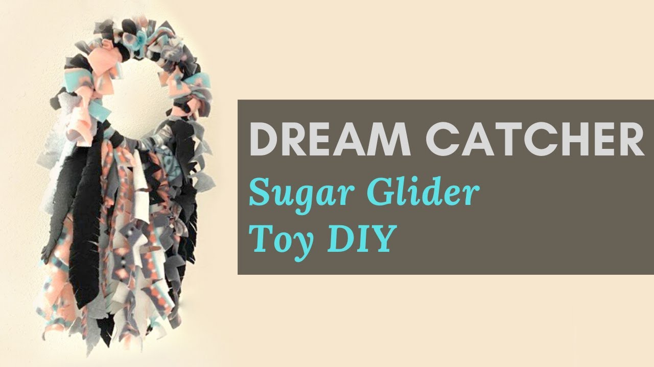 Dream Catcher Sugar Glider DIY Toy