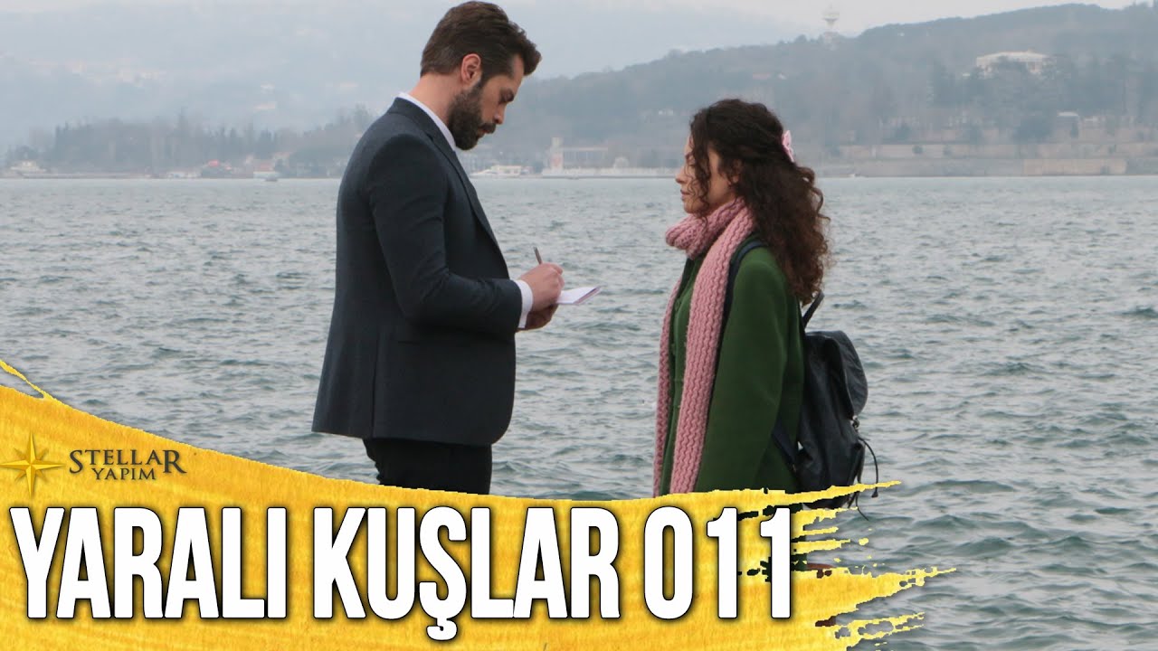 Yaralı Kuşlar 11. Bölüm