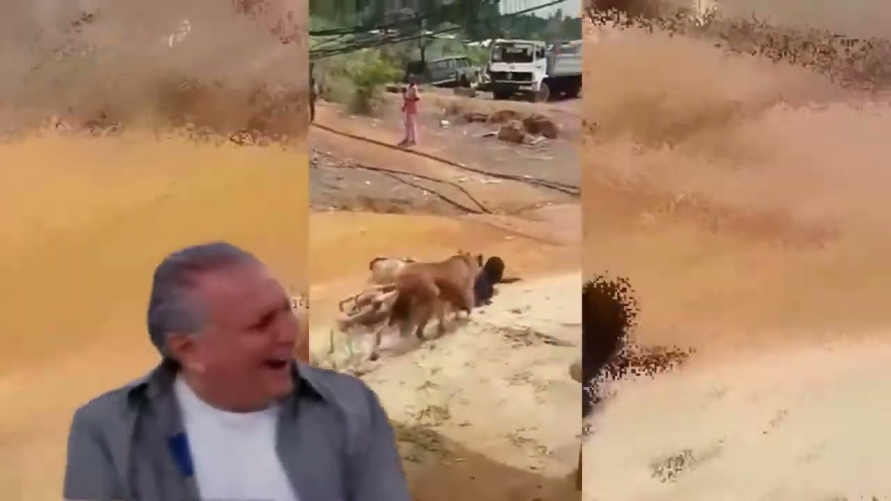 TENTE N&Atilde;O RIR : MELHORES TOMBOS DE B&Ecirc;BADO 😂🍺